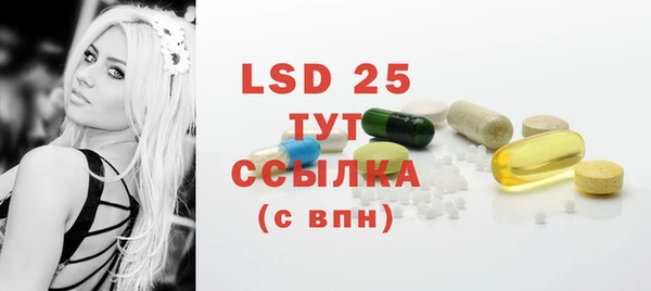 шишки Вязники