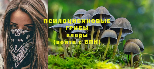 соль курить ск Вязьма
