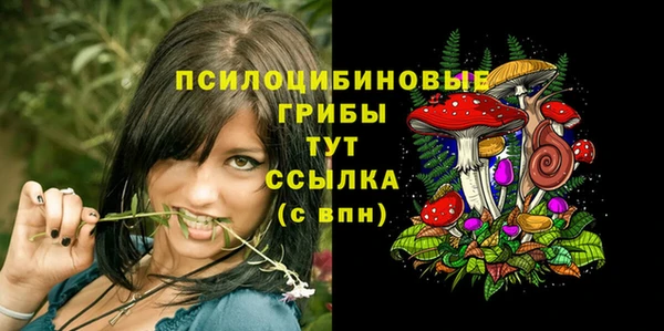 соль курить ск Вязьма