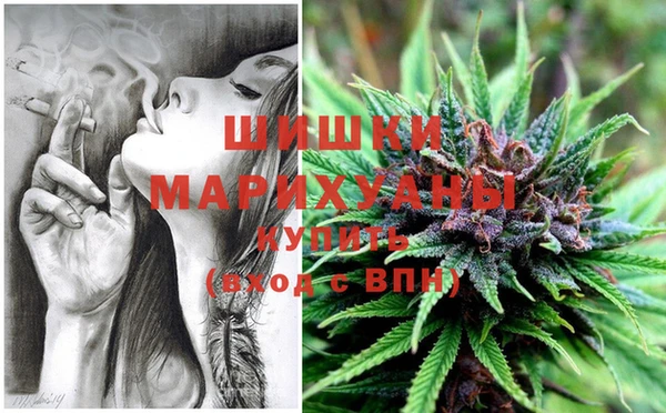 шишки Вязники