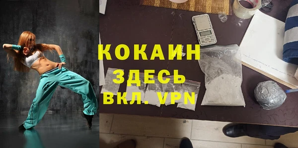 шишки Вязники