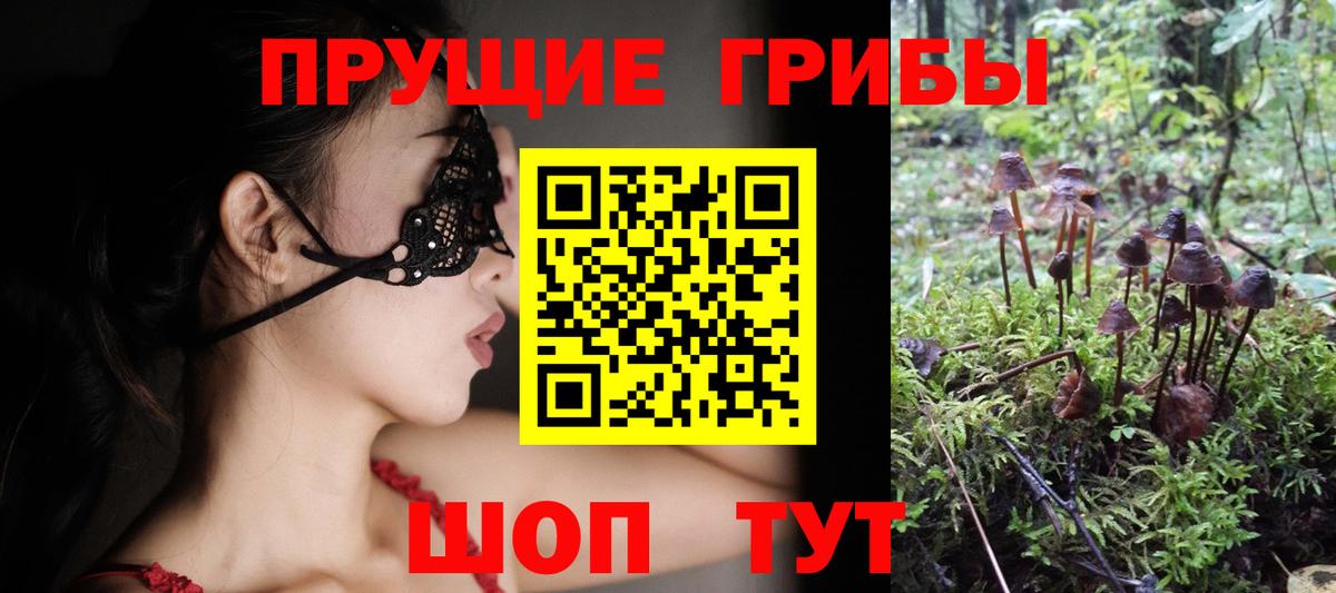 Псилоцибиновые грибы Magic Shrooms  даркнет сайт  Камень-на-Оби  Вход с VPN 