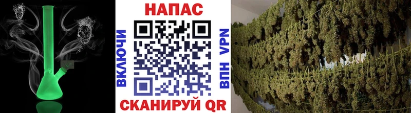 Бошки Шишки VHQ  Камень-на-Оби 