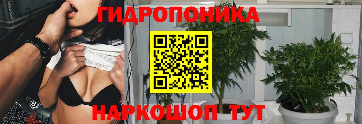 Шишки марихуана индика  Вход с VPN  Камень-на-Оби  Бошки марихуана ГИДРОПОН  Бошки Шишки MAZAR 